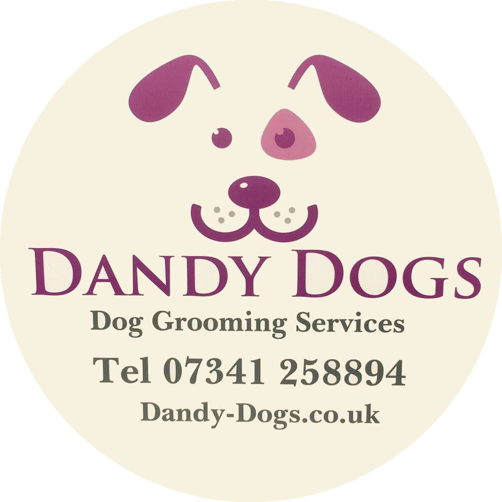 Dandy dogs store mobile grooming service